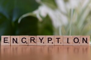 Wooden blocks spelling out the word "Encryption" against a blurred natural background.
