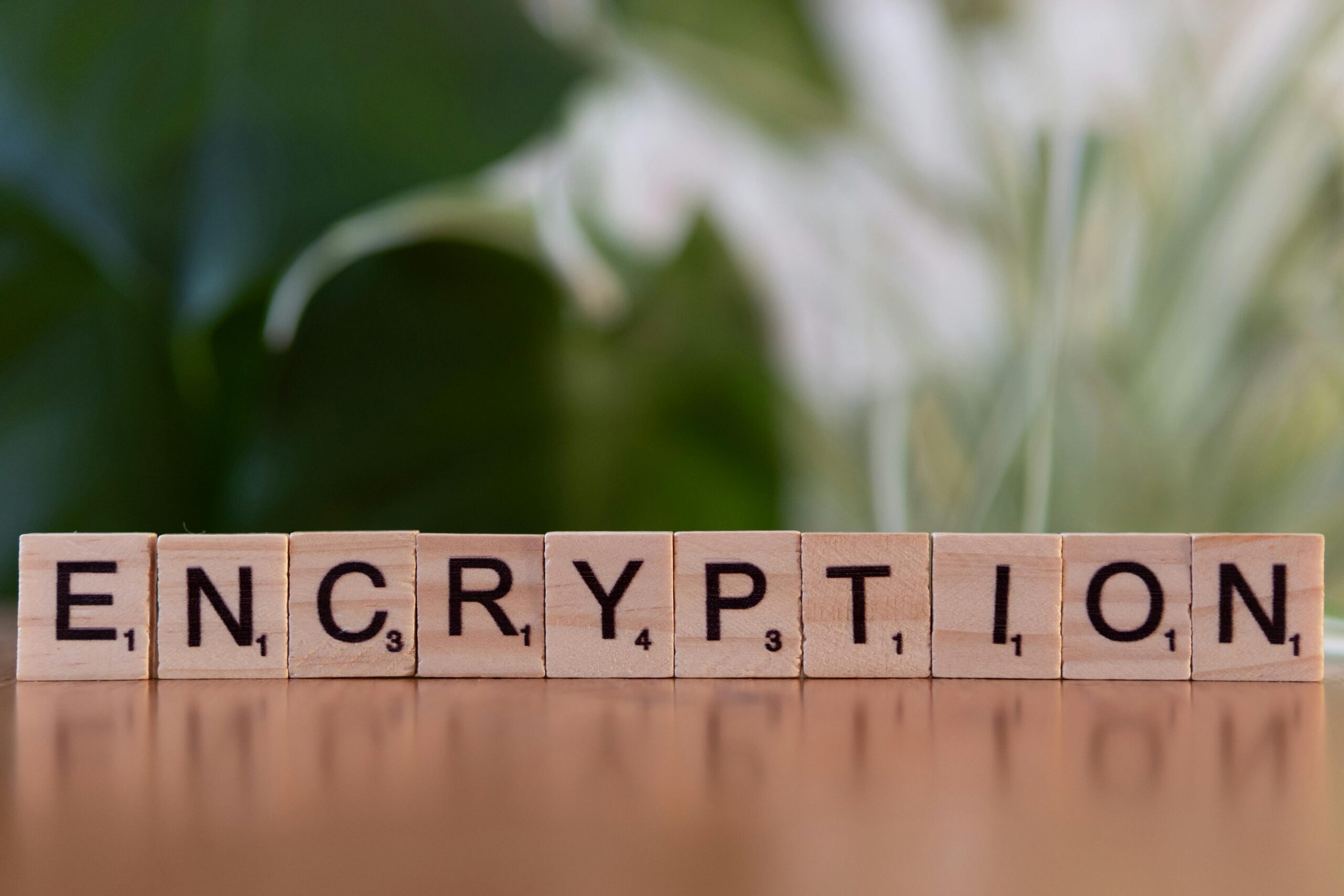 Wooden blocks spelling out the word "Encryption" against a blurred natural background.