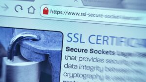 A web browser address bar displaying a secure HTTPS connection to a website, with a lock icon indicating the website's SSL/TLS security certificate. The image highlights the visual cues that signify a secure online connection.