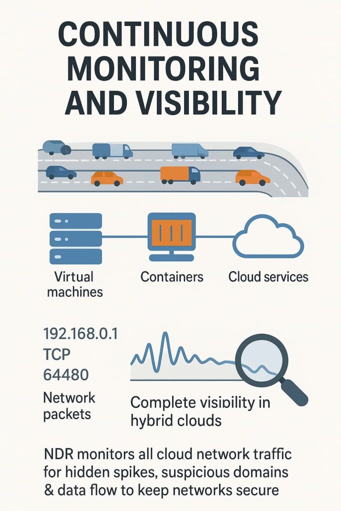 Securing cloud networks through traffic monitoring, detecting spikes and suspicious domains.